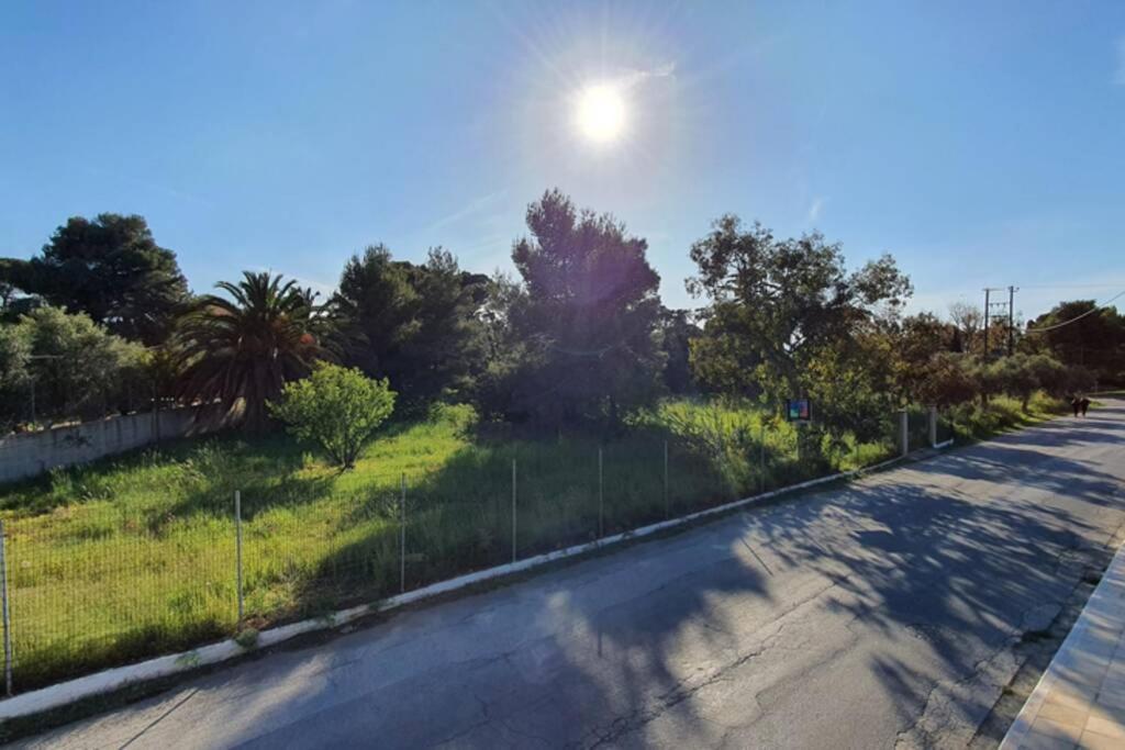 Vila Olivia Chania  Exteriér fotografie